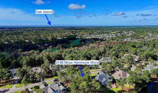 3158MossHammockWynd - 16