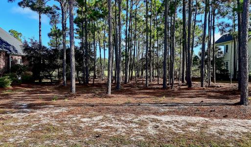 3158MossHammockWynd - 1