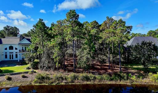 3158MossHammockWynd - 24