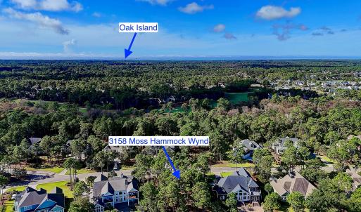 3158MossHammockWynd - 14