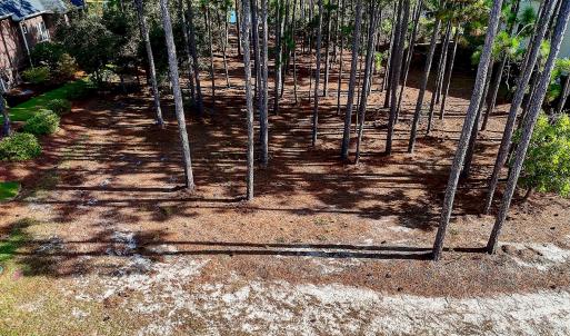 3158MossHammockWynd - 2