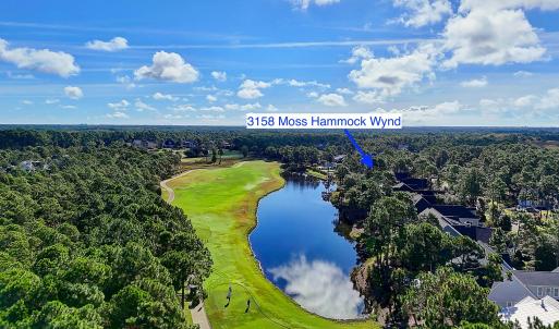 3158MossHammockWynd - 33