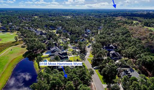 3158MossHammockWynd - 10