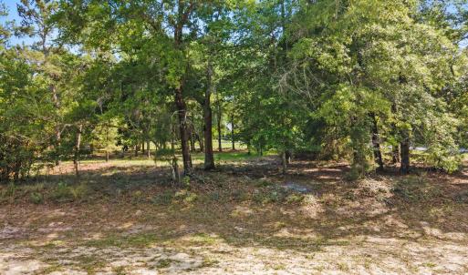 Front of lot
