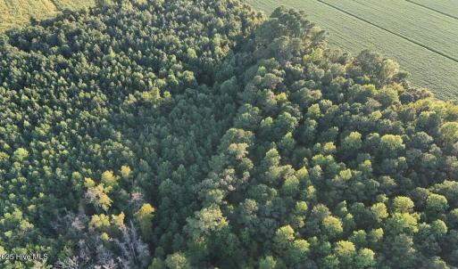 dji_fly_20250918_183010_0436_17582353821