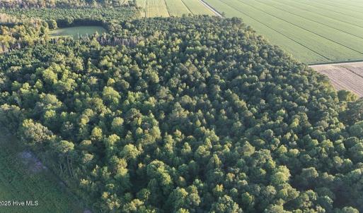 dji_fly_20250918_182840_0434_17582353799
