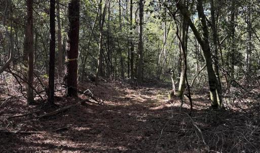 DJI_20251003_104628_347