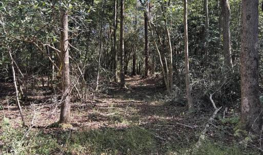 DJI_20251003_104552_225