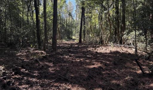 DJI_20251003_105349_064