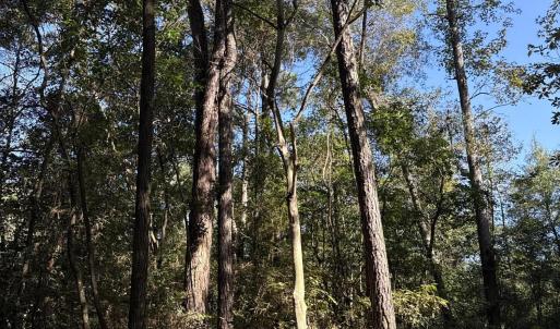 DJI_20251003_104640_888