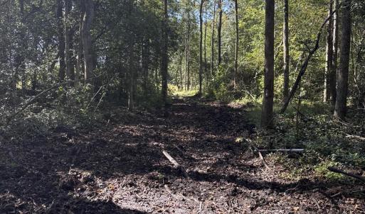 DJI_20251003_104534_226