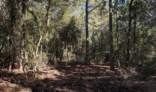 DJI_20251003_104741_039