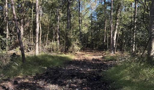 DJI_20251003_104529_802