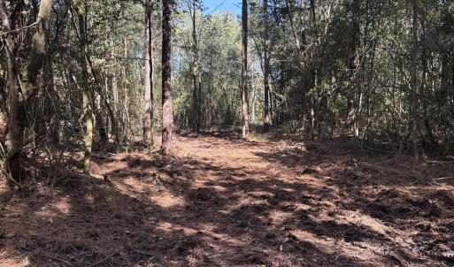 DJI_20251003_104820_159