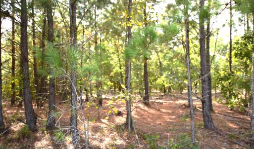 Mill Road Jackson Springs