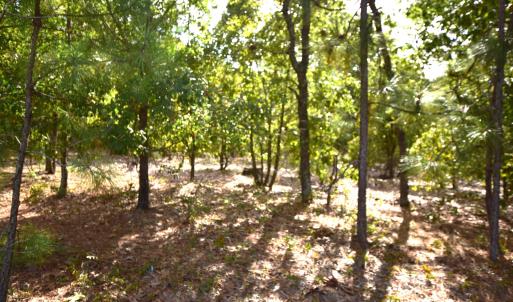 Mill Road Jackson Springs