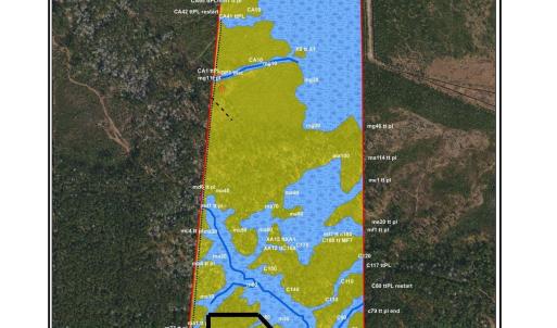 wetland with parcel lines