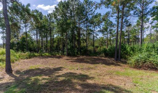 268 kings creek xing 00007