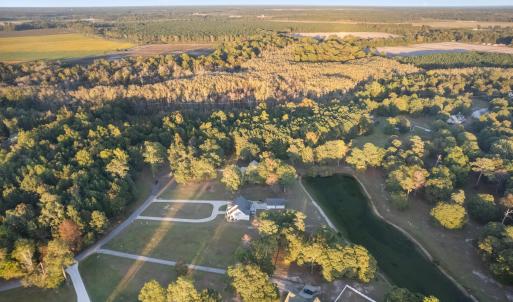 DJI_0781