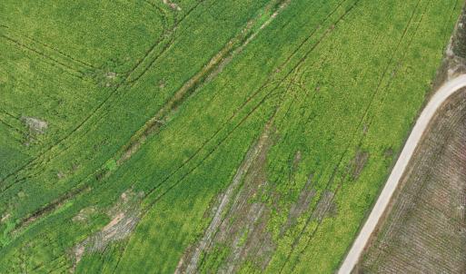 19_photo--red-oak-battleboro-road