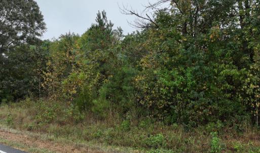 7_photo--red-oak-battleboro-road