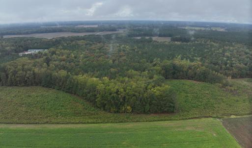 12_photo--red-oak-battleboro-road