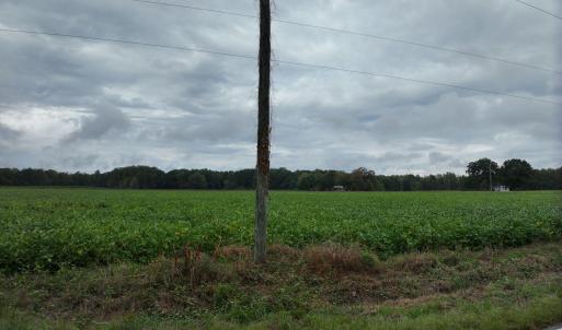 10_photo--red-oak-battleboro-road