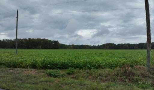 3_photo--red-oak-battleboro-road