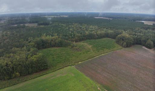 11_photo--red-oak-battleboro-road