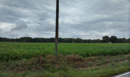 4_photo--red-oak-battleboro-road