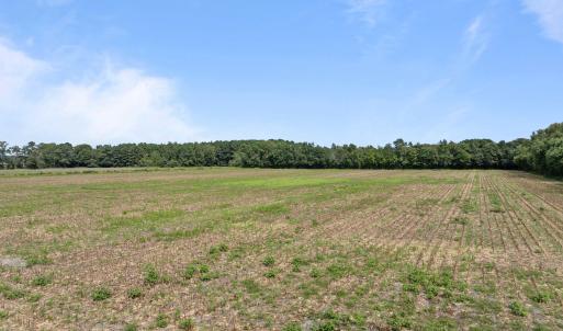 13-web-or-mls-DJI_0335