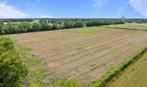 11-web-or-mls-DJI_0333