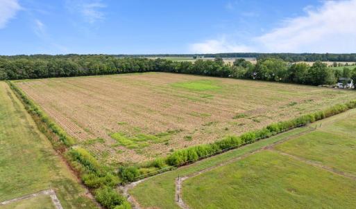 12-web-or-mls-DJI_0334