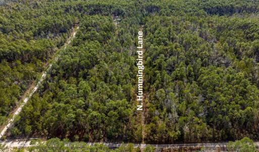 N. Hummingbird Road View