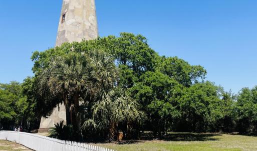 Old Baldy
