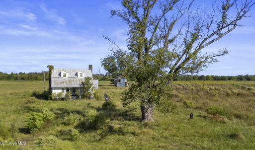 whiteoak-4