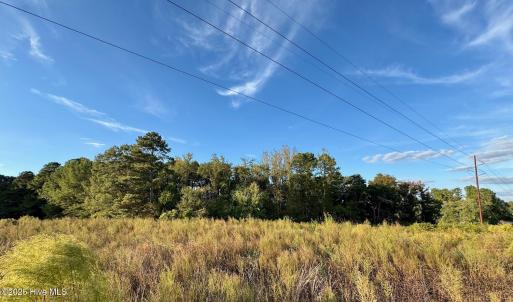 Woods NW Corner of Property