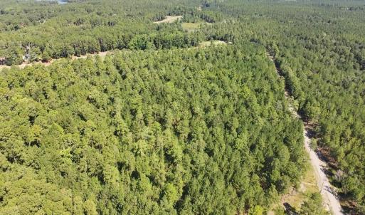 Photo #3 of Trt 8 Peach Orchard, Wagram, NC 6.5 acres