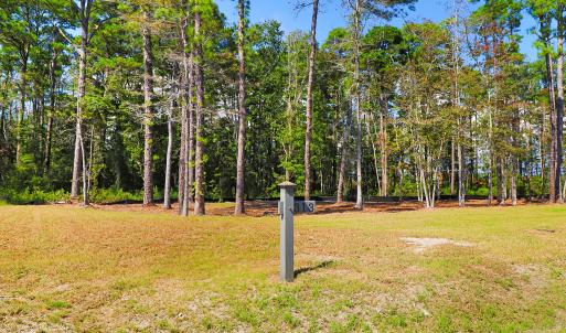 479 Freedom Park Rd