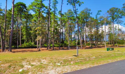 501 Freedom Park Rd