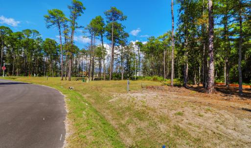 420 Summer Duck Drive, Lot 349