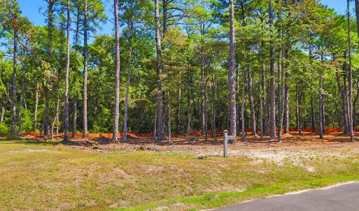 420 Summer Duck Drive, Lot 349