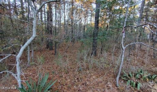 20241118184221507624000000-o