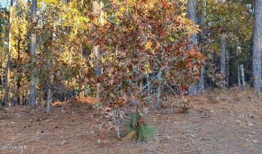 20241118184212072472000000-o