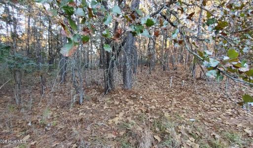 20241118184224957017000000-o