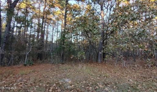 20241118184218334089000000-o