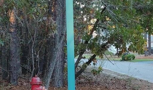 20241118184610550880000000-o