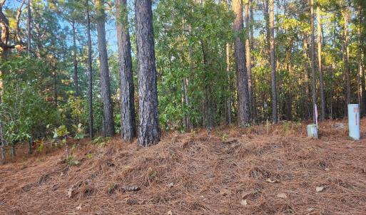 IMG_20251020_190956 (1)