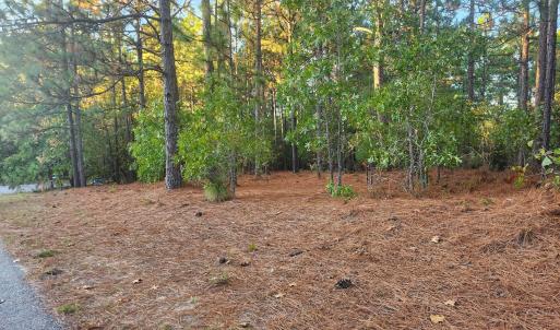 IMG_20251020_190956 (2)