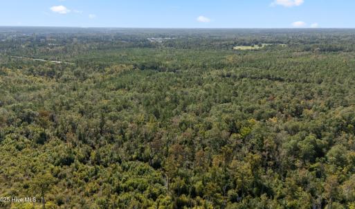 12_dji_20251009093742_0016_d